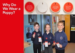 History of the Poppy3