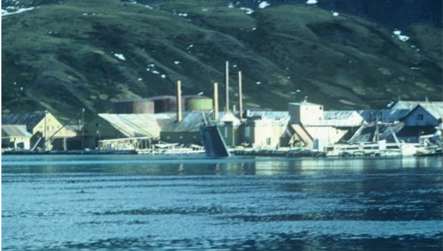 The Santa Fe at rest on the sea bed at the old whaling station at Grytviken