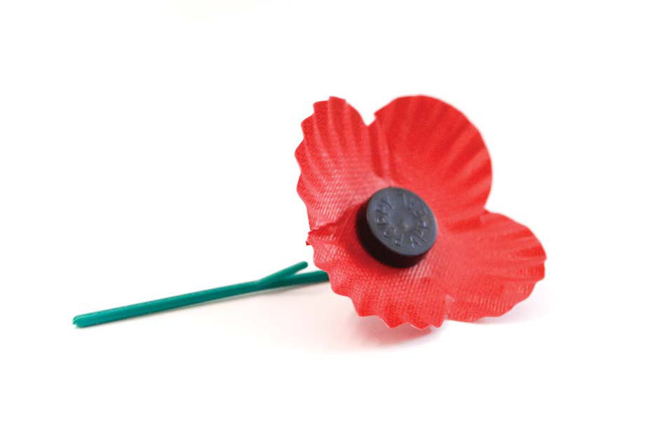 Scottish green stem poppy 2008