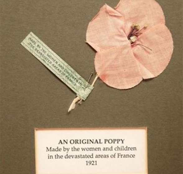 An Original Poppy cropped