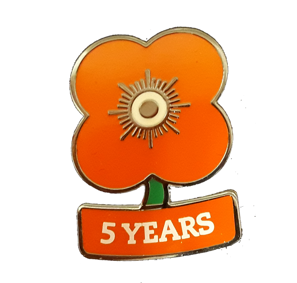 LSApinbadge LSApinbadge