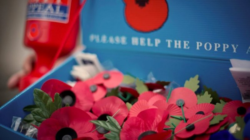TRBL Poppy appeal tray 161012 CREDIT MOD
